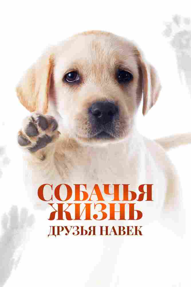 Собачья жизнь: Друзья навек 2023
