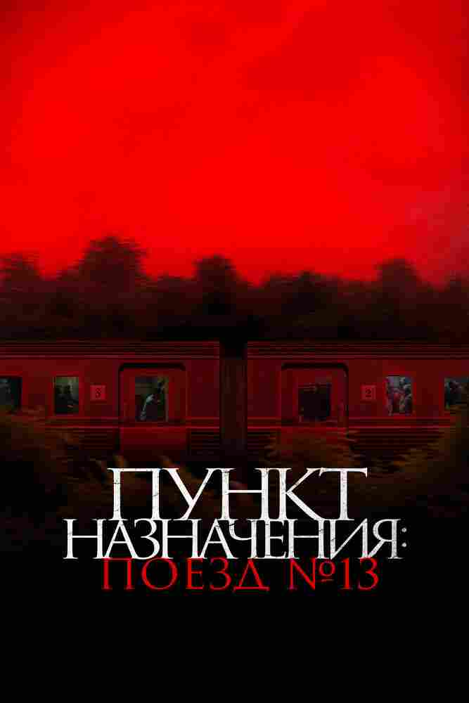 Пункт назначения: Поезд № 13 2024