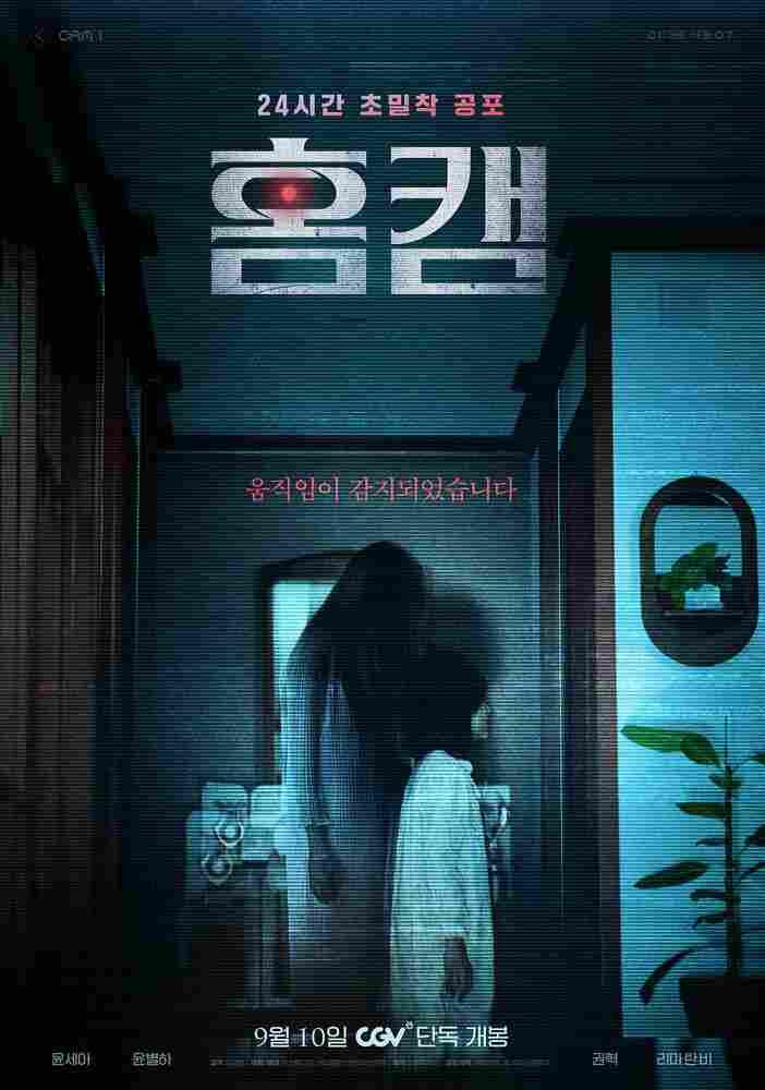 Домашняя камера 2025