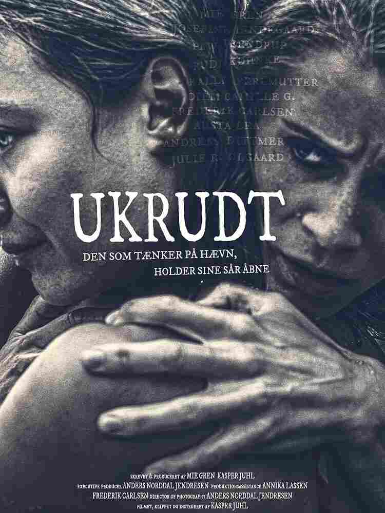 Увядшие цветы 2022