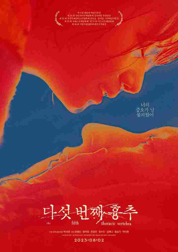 Пятый грудной позвонок 2022