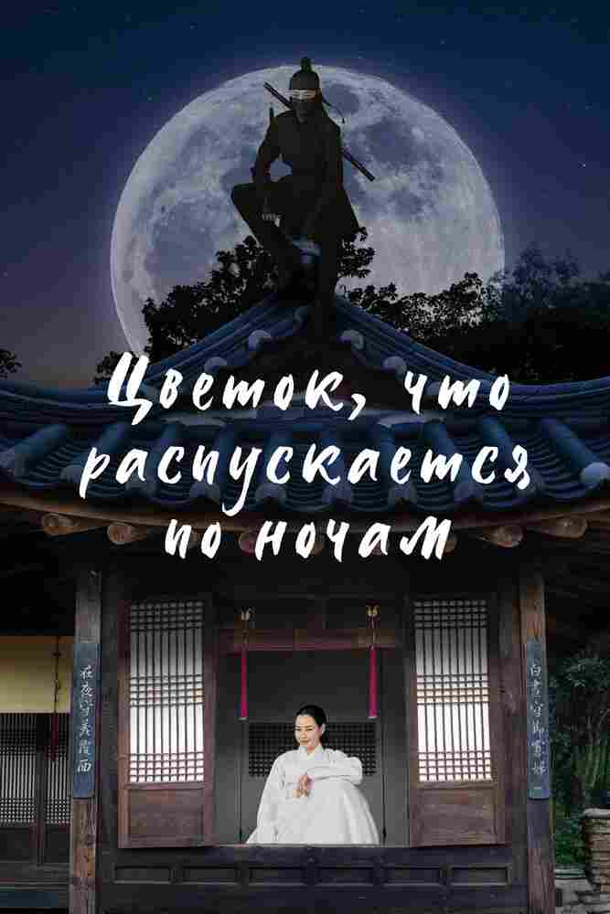 Цветок, что распускается по ночам 2024