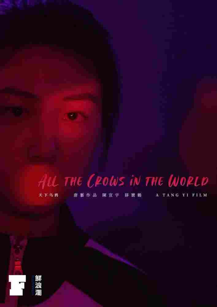 Все вороны мира 2021