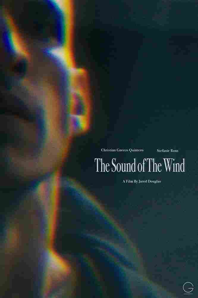 Звук ветра 2020