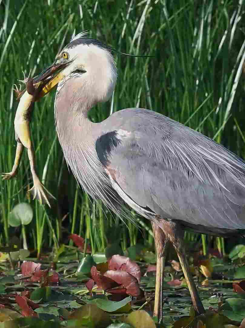 Ужасы природы 2025