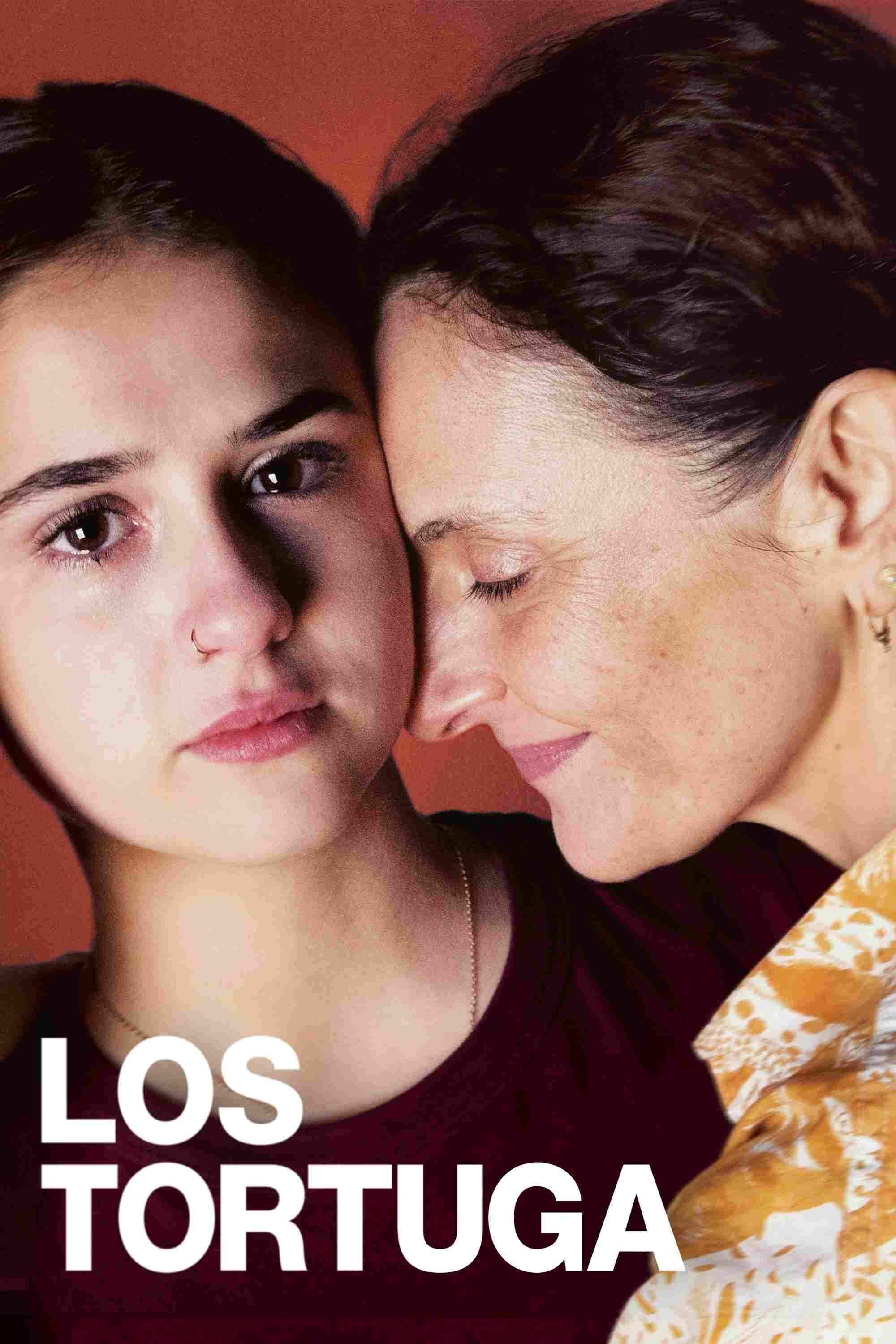 Черепаха 2024