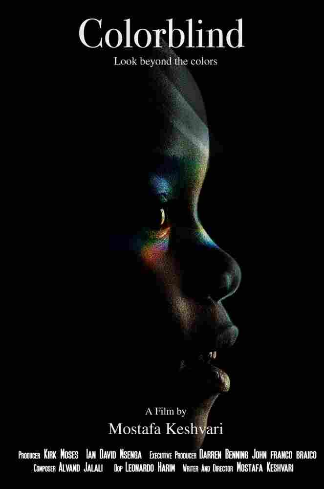 Дальтоники 2020