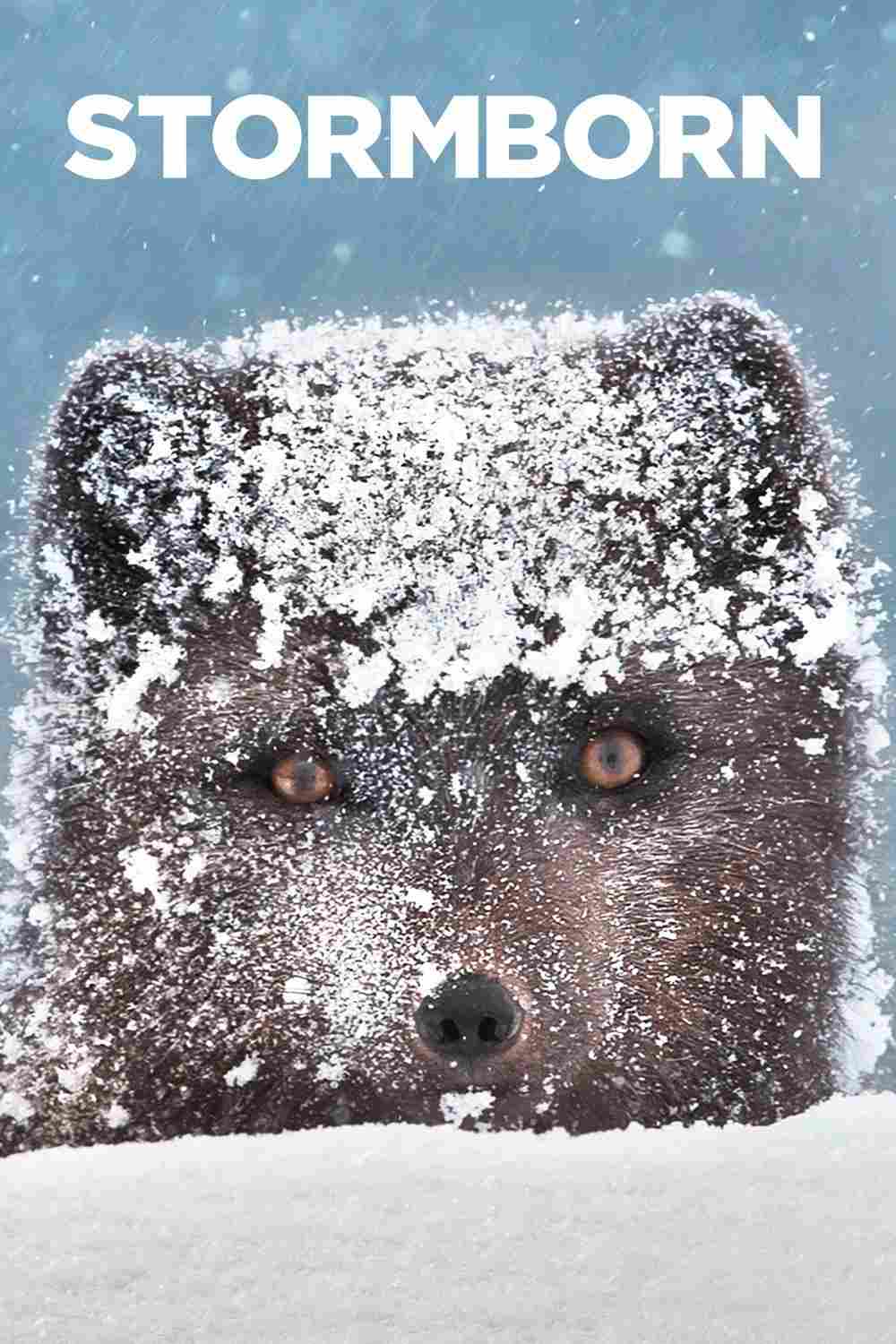 Рожденные бурей 2020