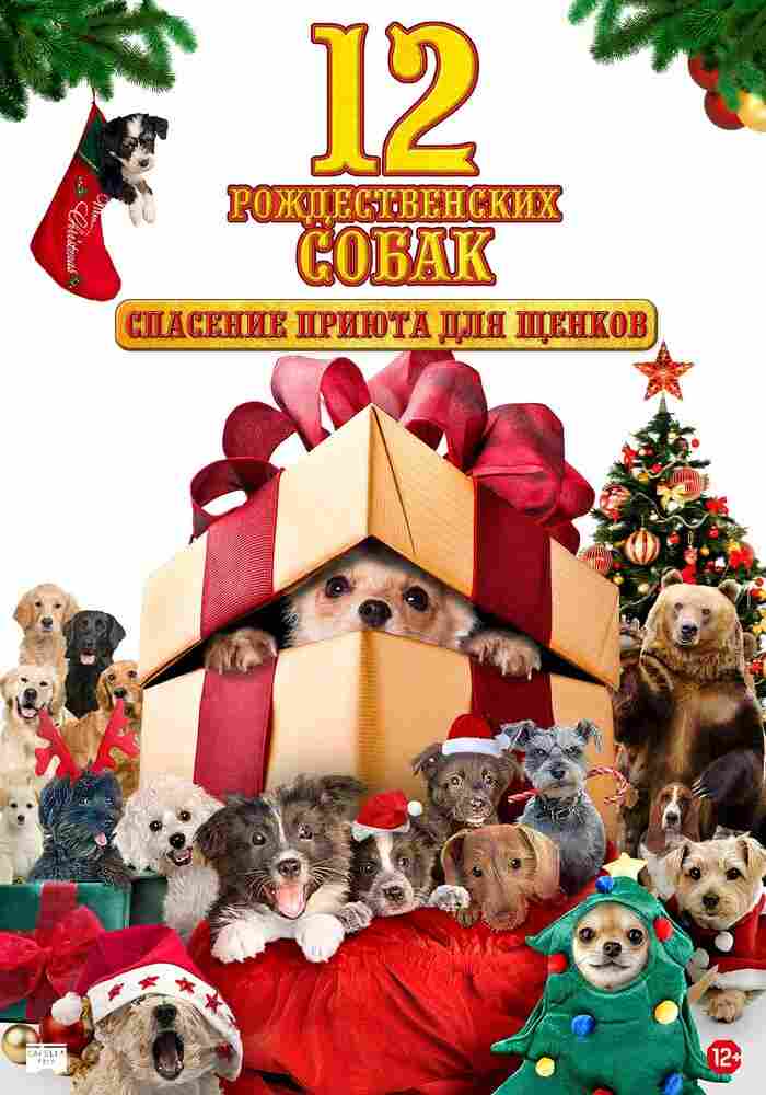 12 рождественских собак: Спасение приюта для щенков 2012
