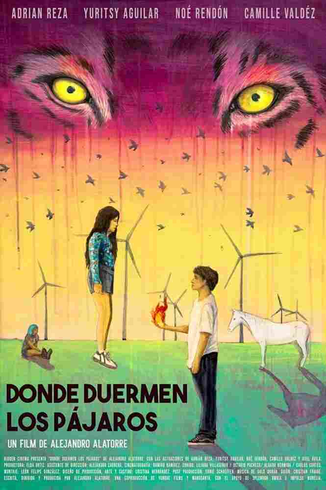 Там, где спят птицы 2022