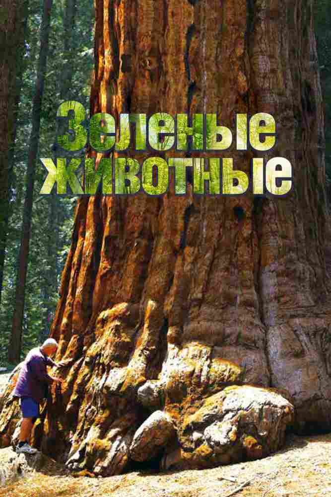 Зелёные животные 2015