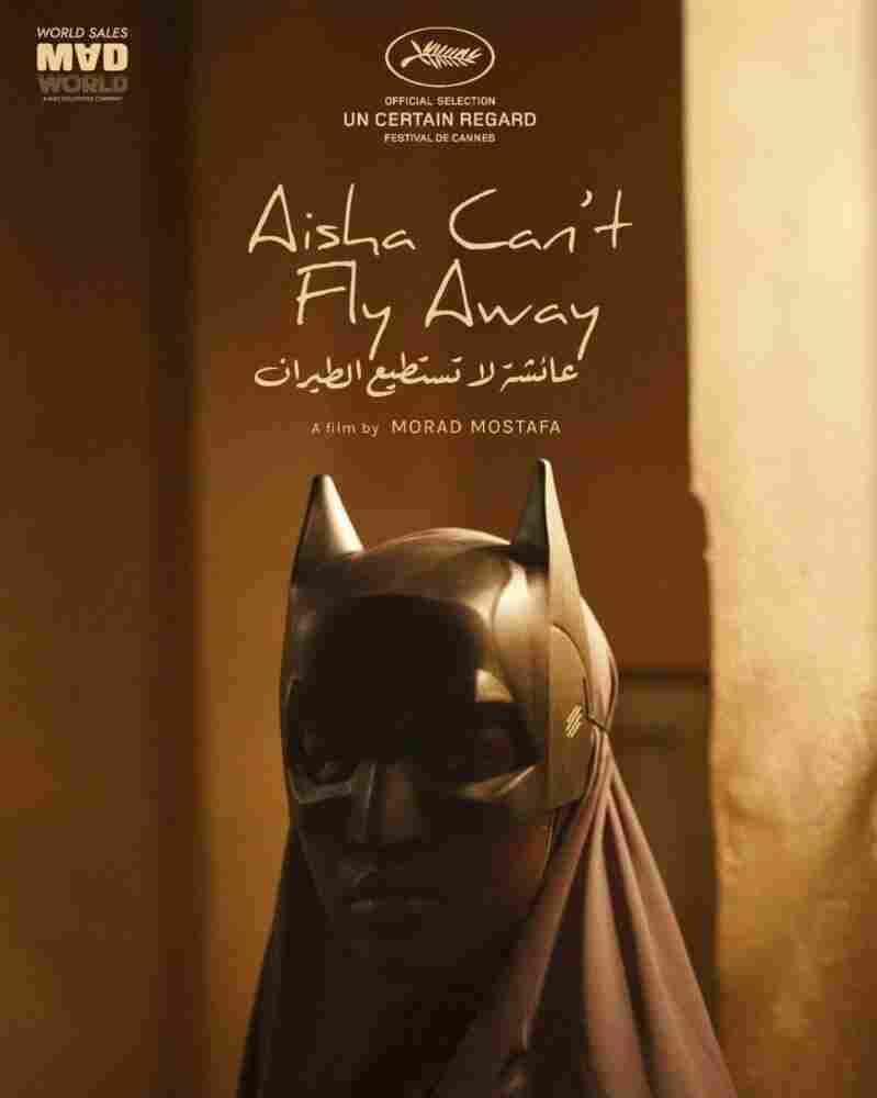 Аиша не может летать 2025