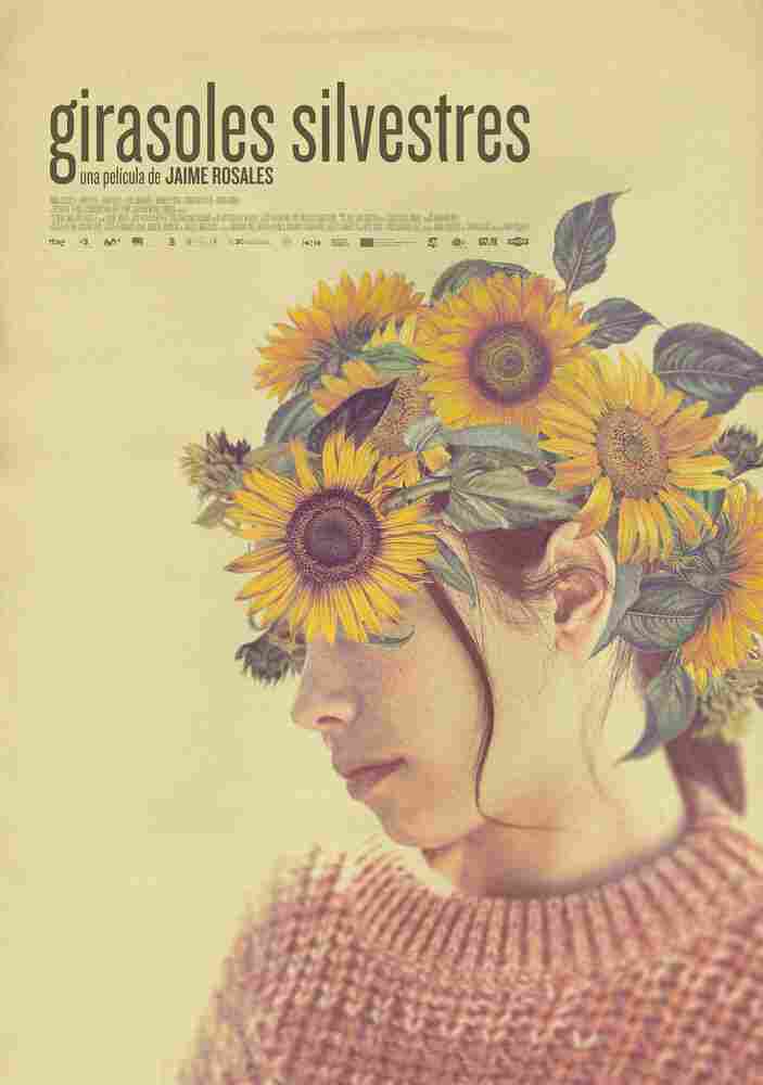 Дикие подсолнухи 2022