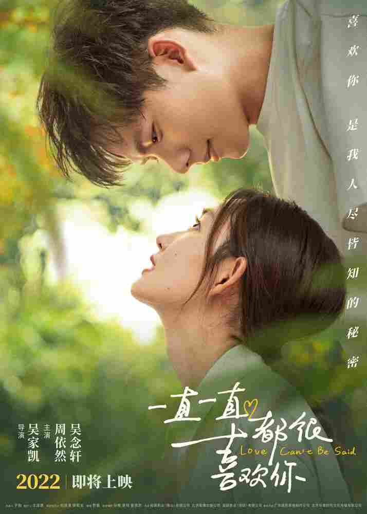 Любовь не выразить словами 2022