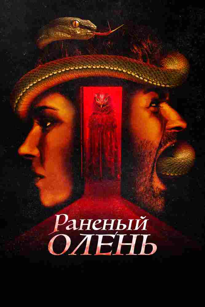 Раненый оленёнок 2022