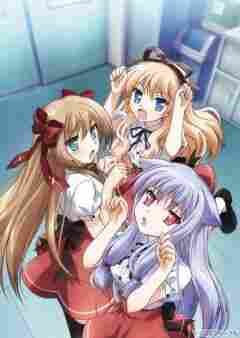 Нашествие бродячих кошек! 2010