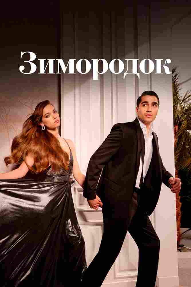Зимородок 2022