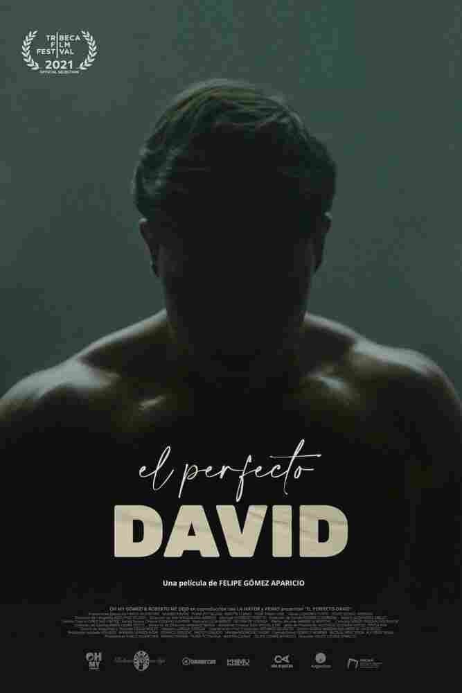 Идеальный Давид 2021