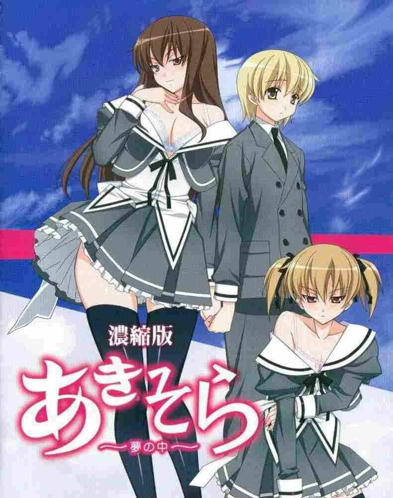 Аки и Сора 2 2010