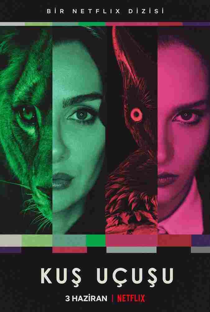 Полёт птицы 2022