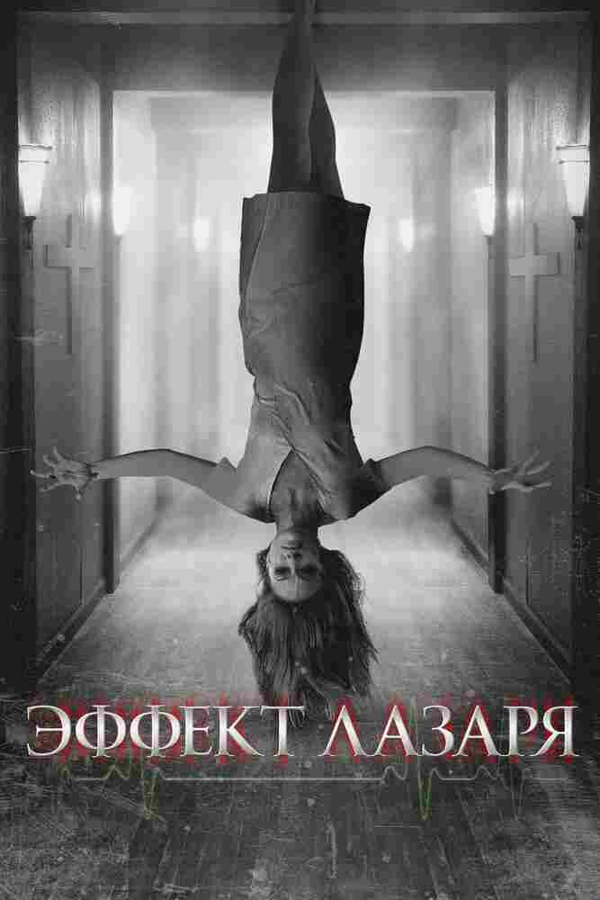 Эффект Лазаря 2013