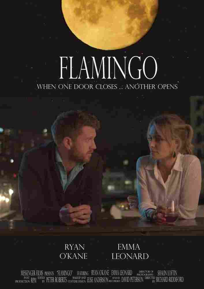 Фламинго 2020