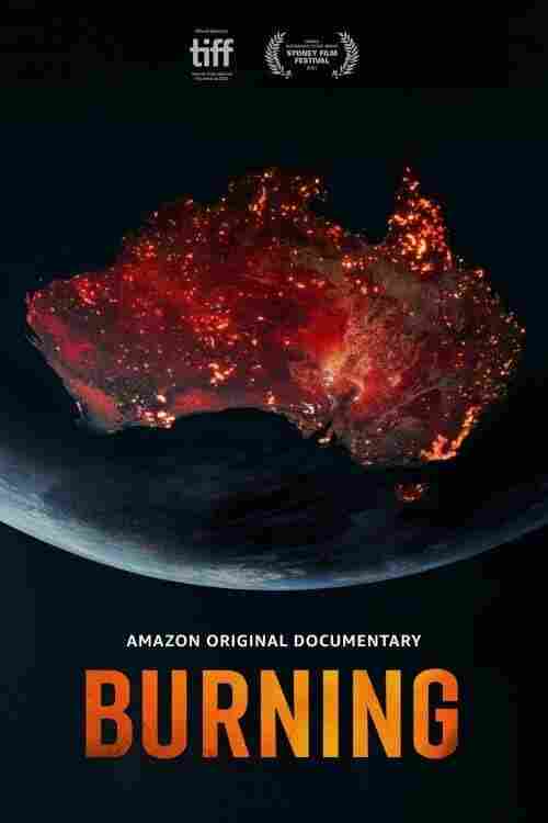 Сжигание 2021