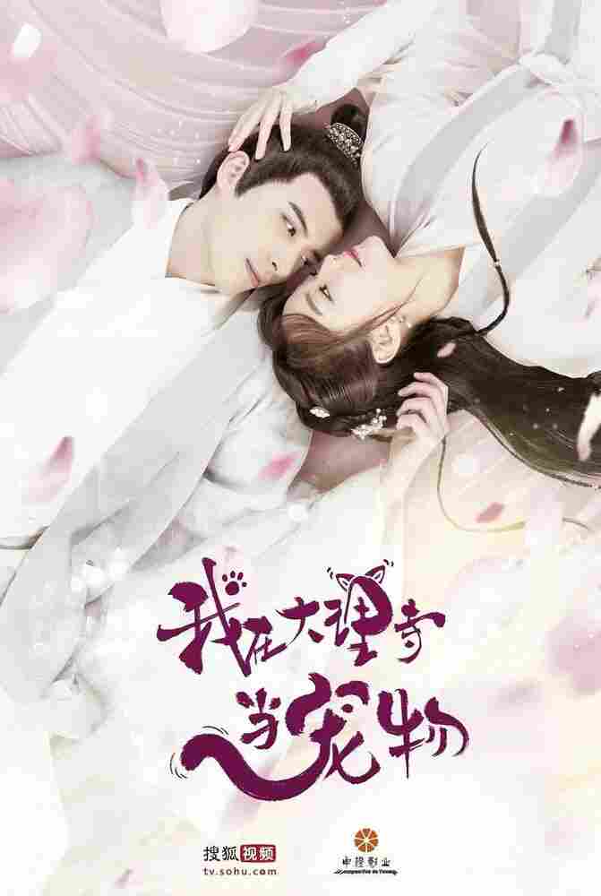 Кошка из палаты по уголовным делам 2018