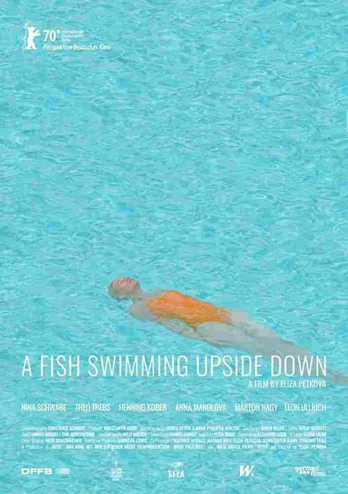 Рыба, плавающая брюхом вверх 2020