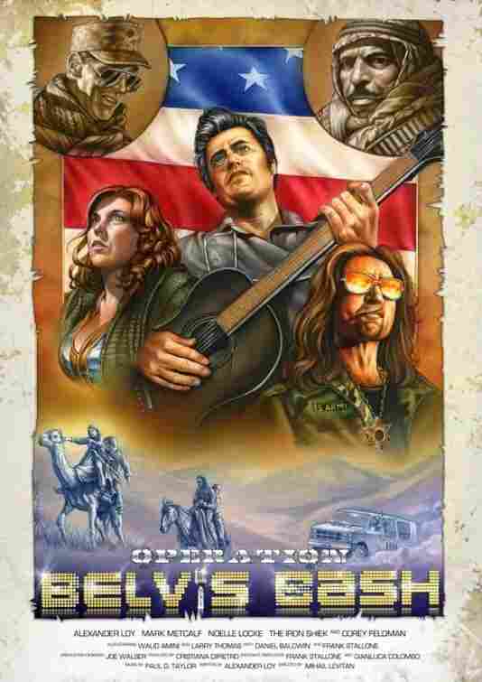 Операция «Белвис» 2011