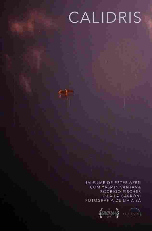 Песочник 2019