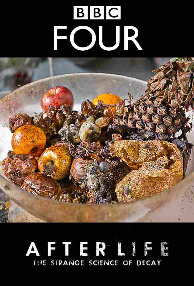 После смерти: Загадочная наука разложения 2011