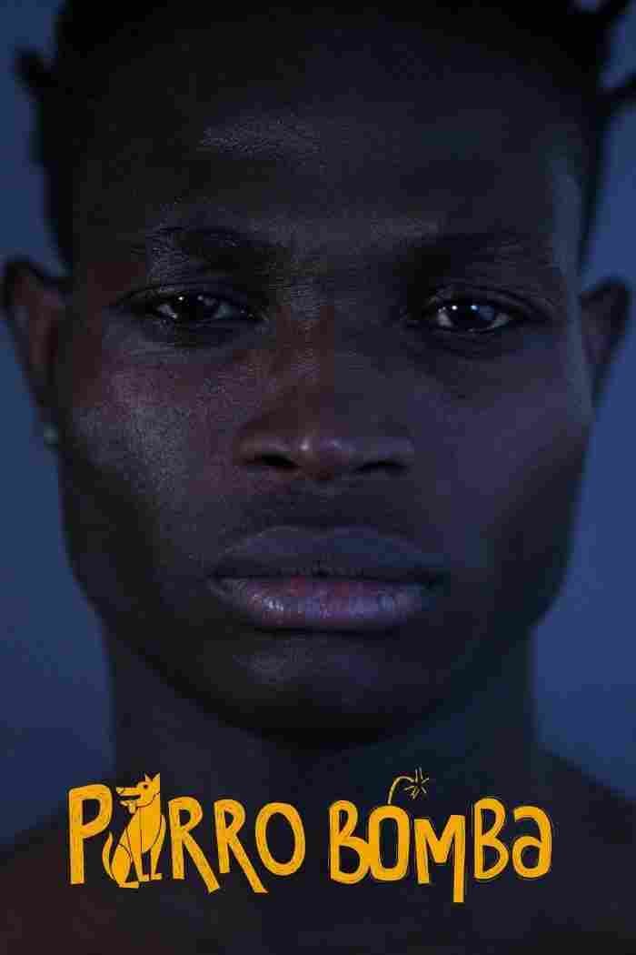 Собака-Бомба 2019