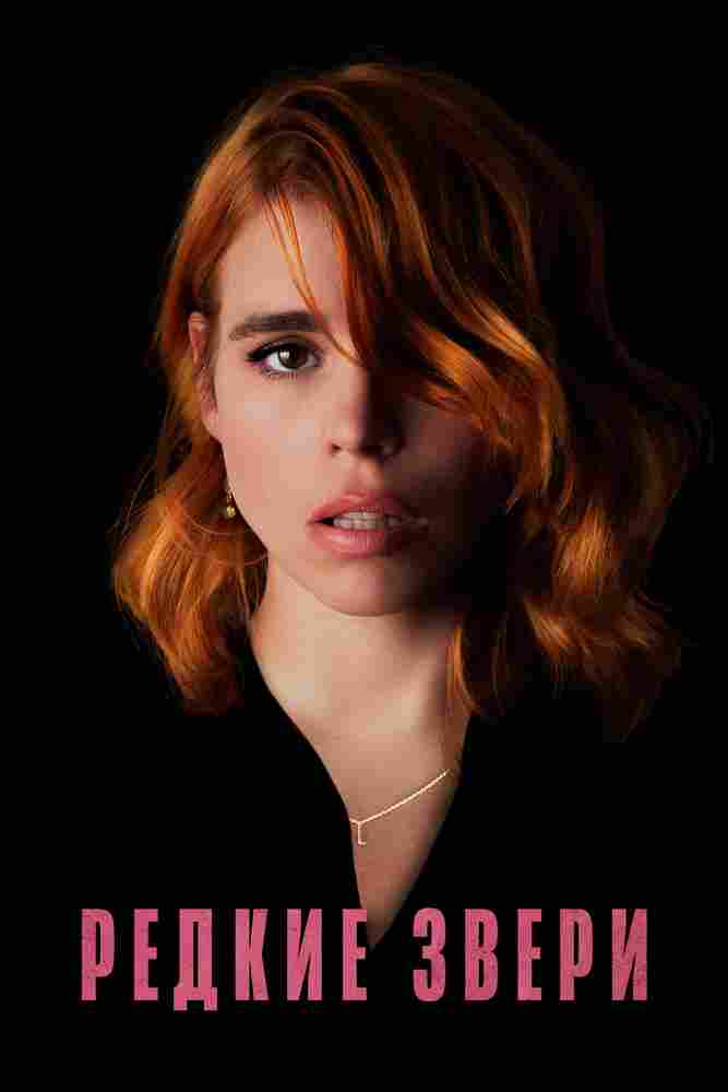 Редкие звери 2019