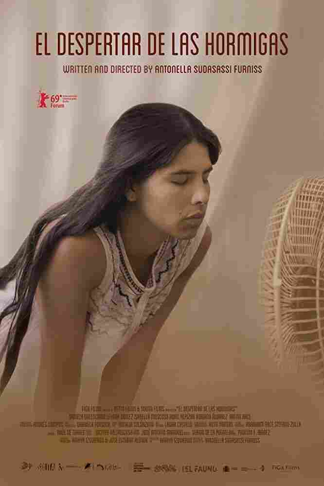 Пробуждение муравьев 2019