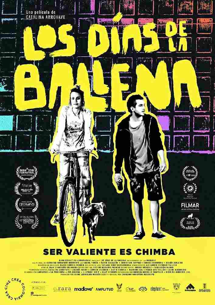 Дни кита 2019