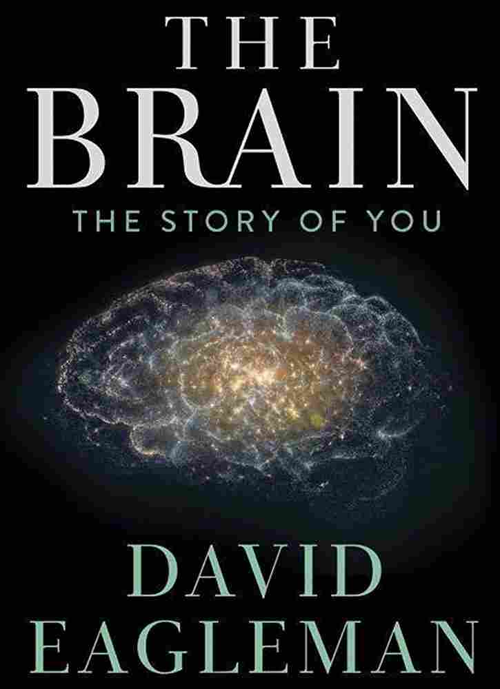 Мозг с Дэвидом Иглменом 2015