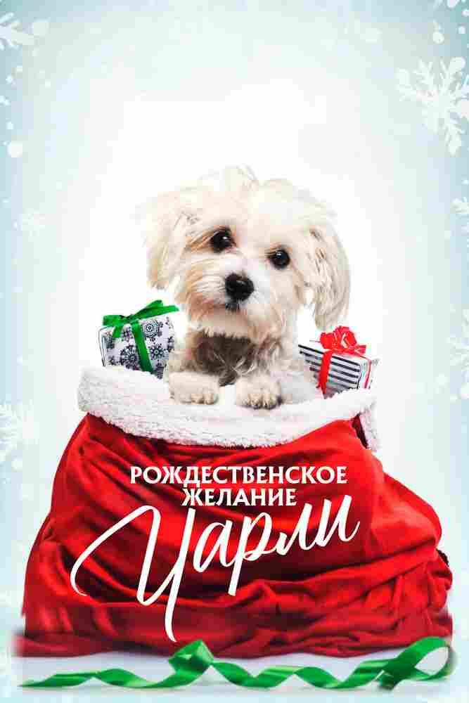 Рождественское желание Чарли 2020