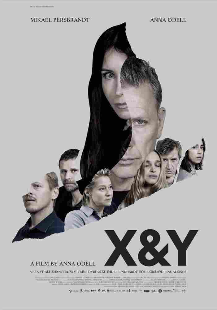 X и Y 2018
