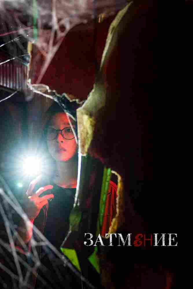 Затемнение 2019