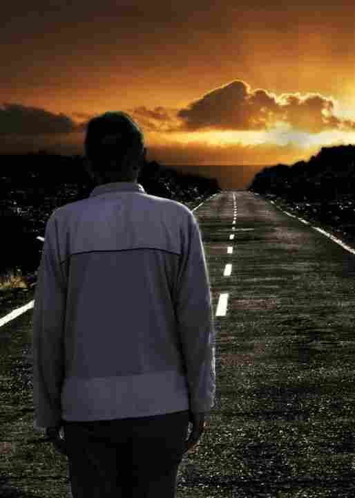 Один великолепный закат 2017