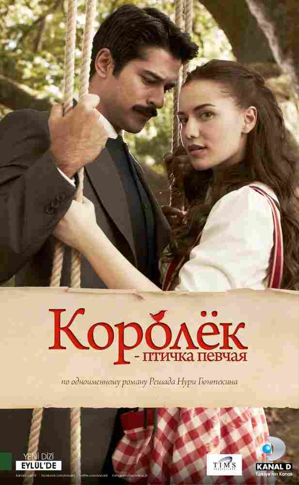 Королёк — птичка певчая 2013