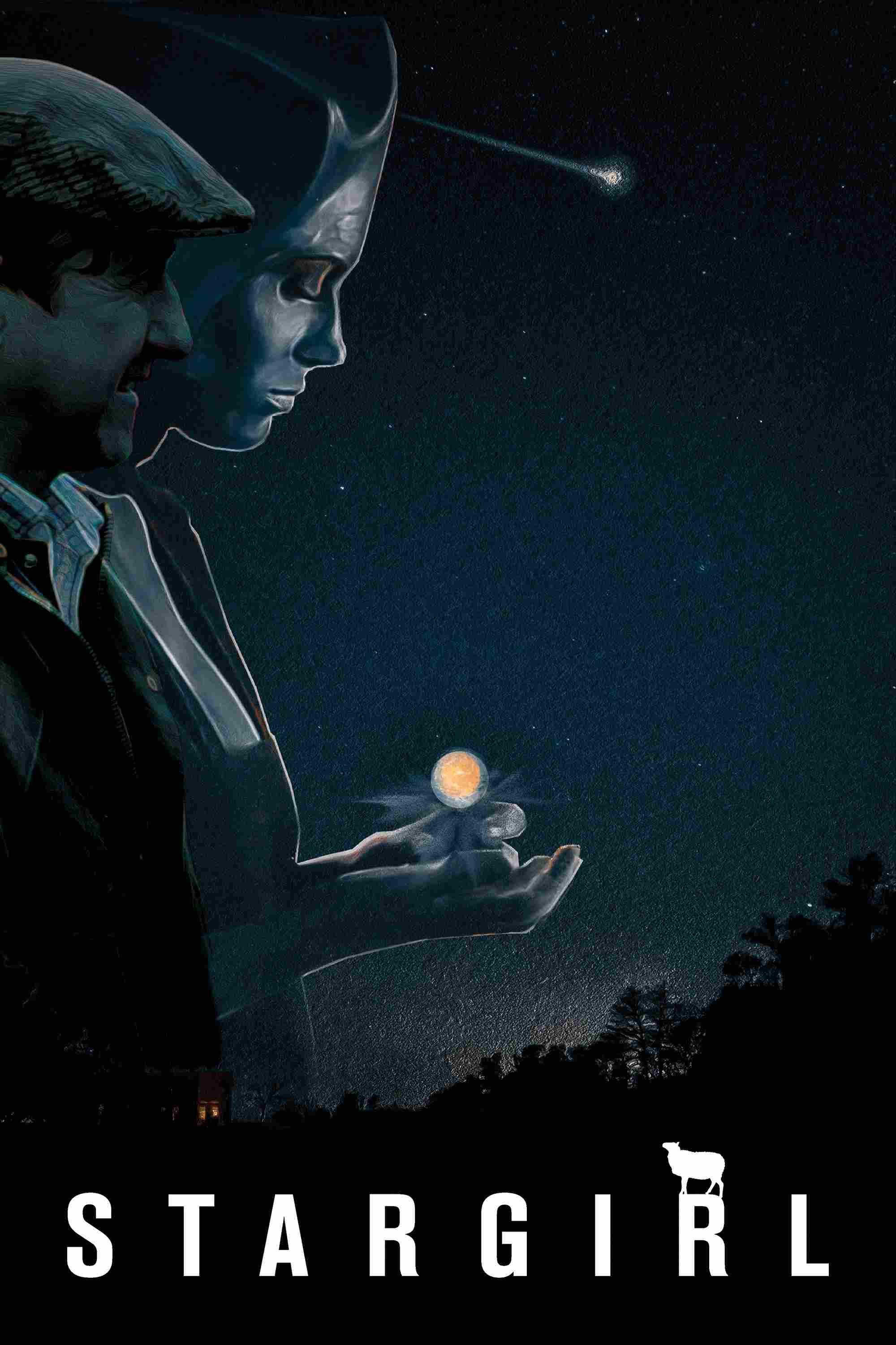 Звёздная гостья 2017