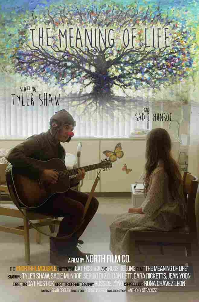 Смысл жизни 2017