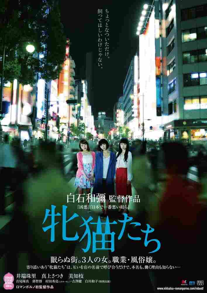 Кошачий рассвет 2017