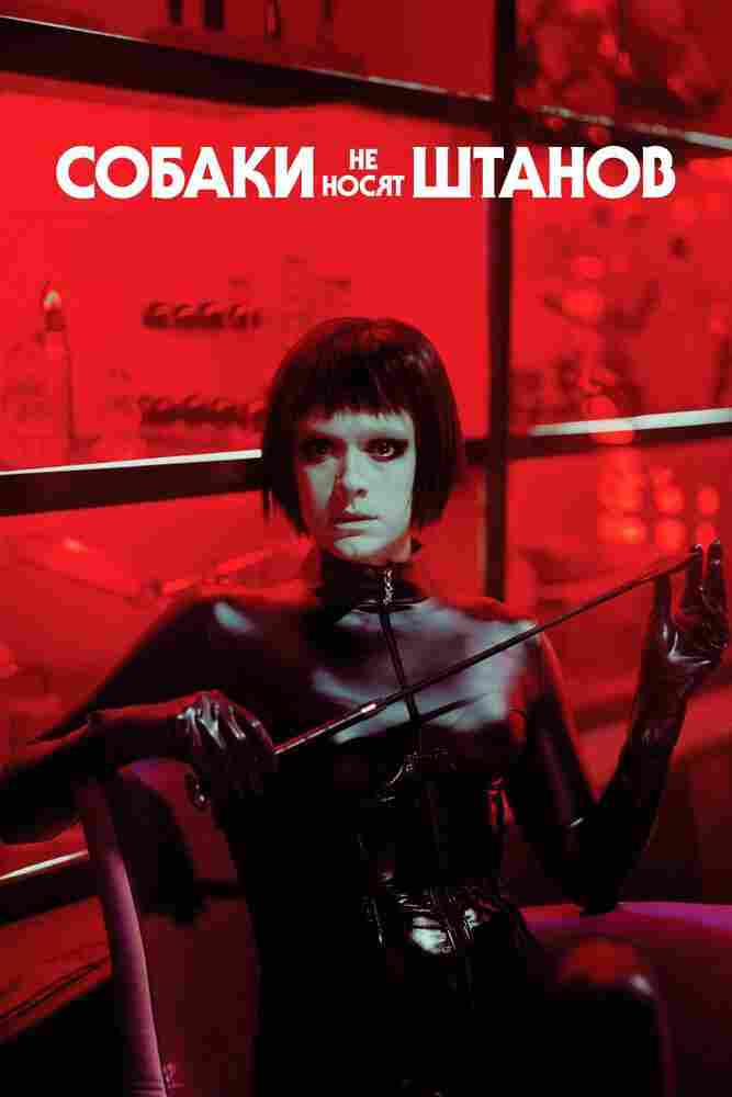 Собаки не носят штанов 2019