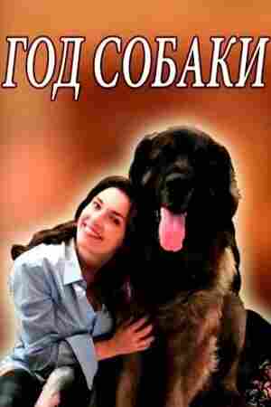 Год собаки 2018
