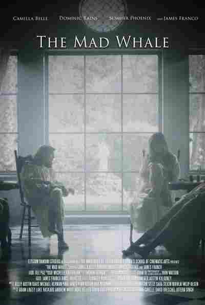 Безумный кит 2017