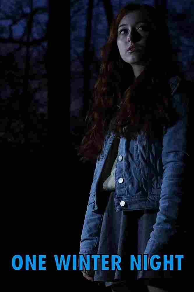 Однажды зимней ночью 2019