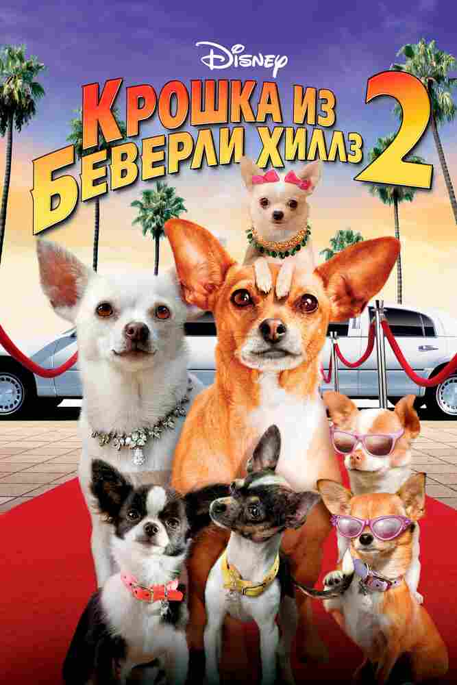 Крошка из Беверли-Хиллз 2 2010